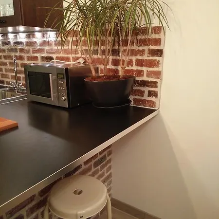 La Maison D'alexandre דירה הונפלר