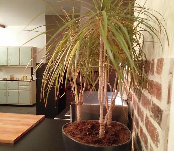 La Maison D'alexandre